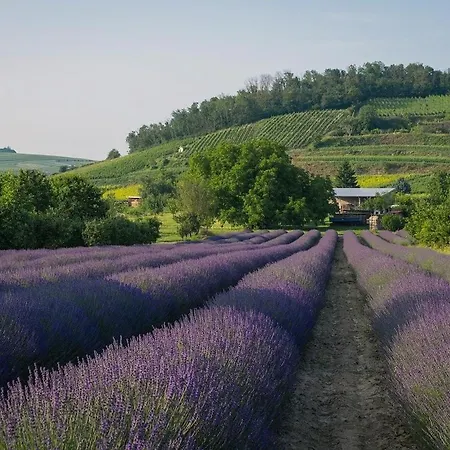 Les Olivettes Casa de Férias