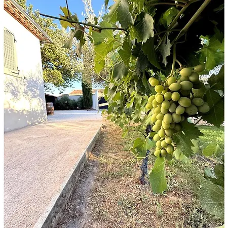 Casa de Férias Les Olivettes *